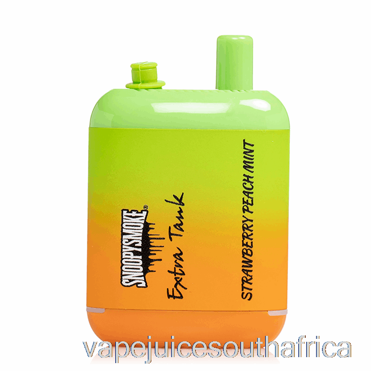 Vape Juice South Africa Snoopy Smoke Extra Tank 2 15000 Disposable Strawberry Peach Mint
